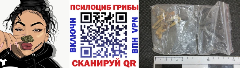 Псилоцибиновые грибы Cubensis  Алексин 