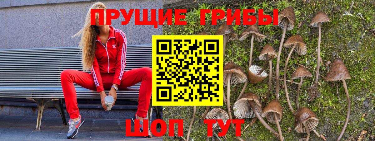 Псилоцибиновые грибы мухоморы  Вход с VPN  Галлюциногенные грибы Magic Shrooms  где можно купить наркотик  Алексин 